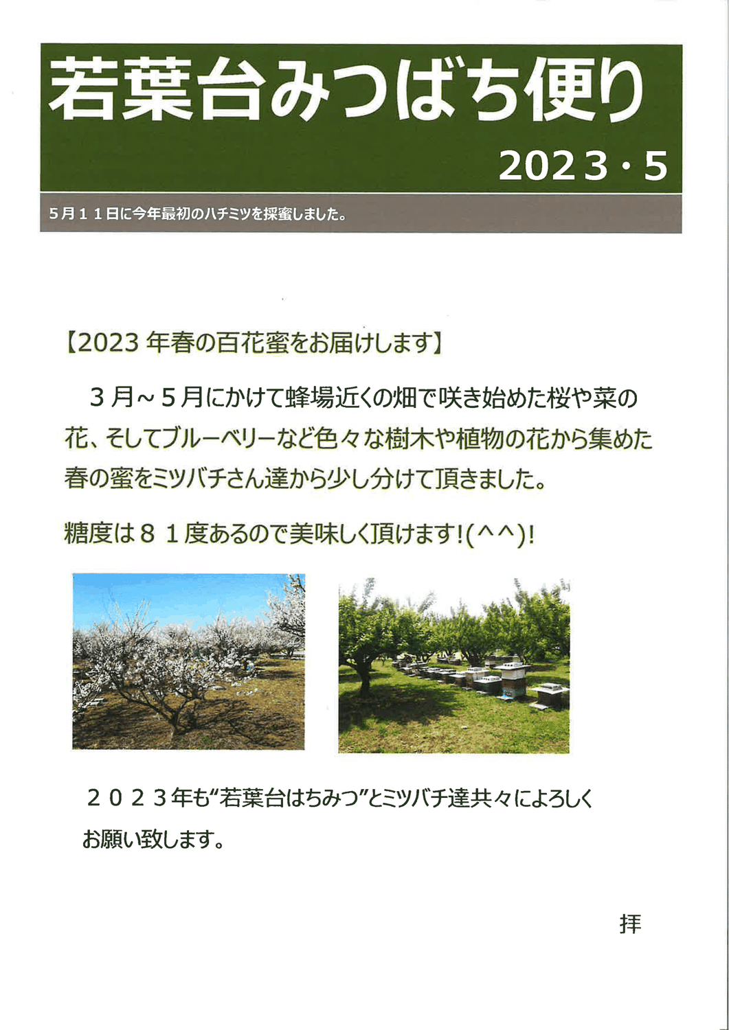 若葉台みつばち便り 2023・5