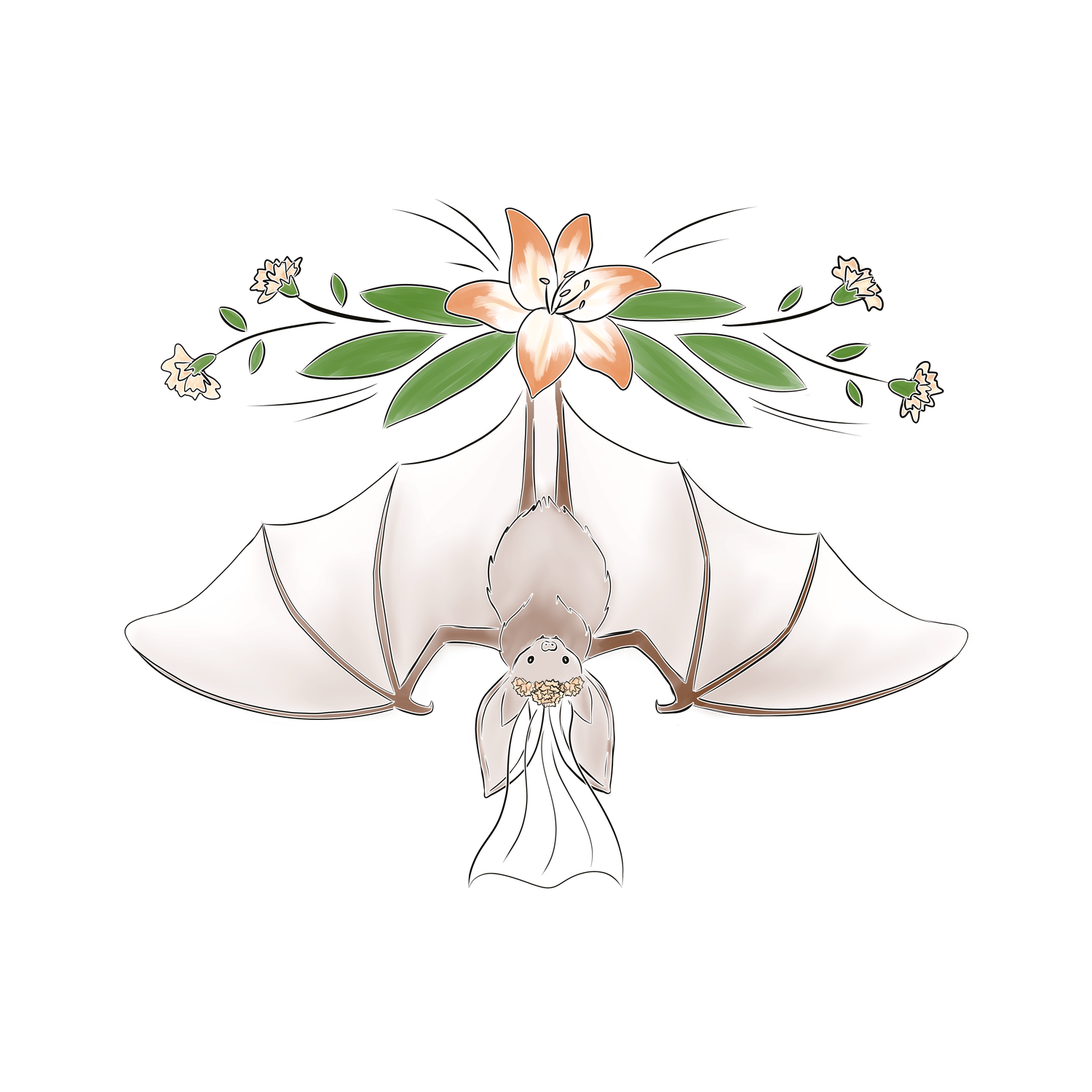 Fledermaus
