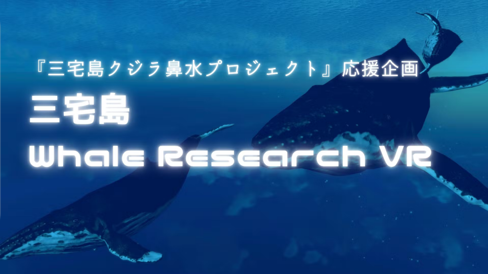 ＜クラファン支援＞メタバースでザトウクジラの観察はいかが!?