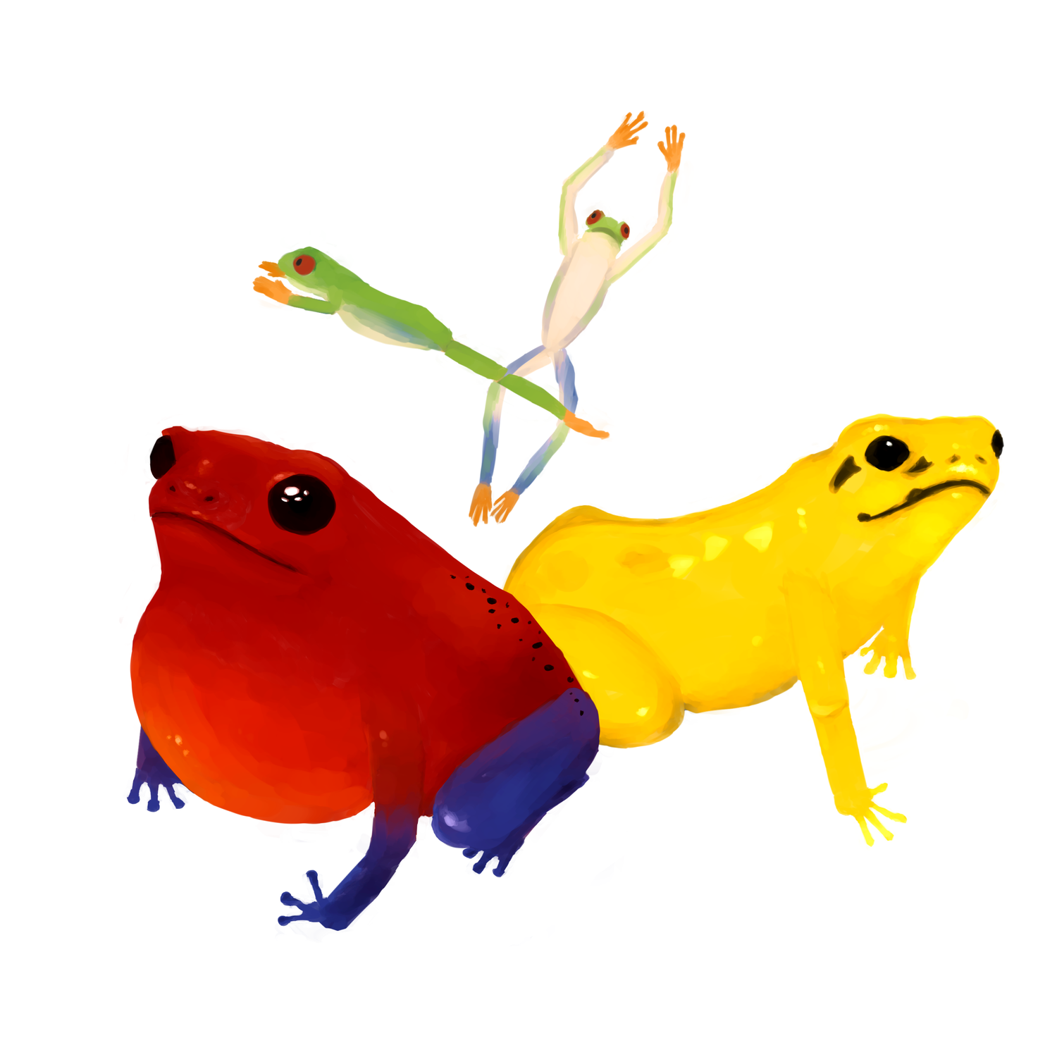 その鮮やかさは自己防衛のため！？神秘的でキケンなカエルの世界