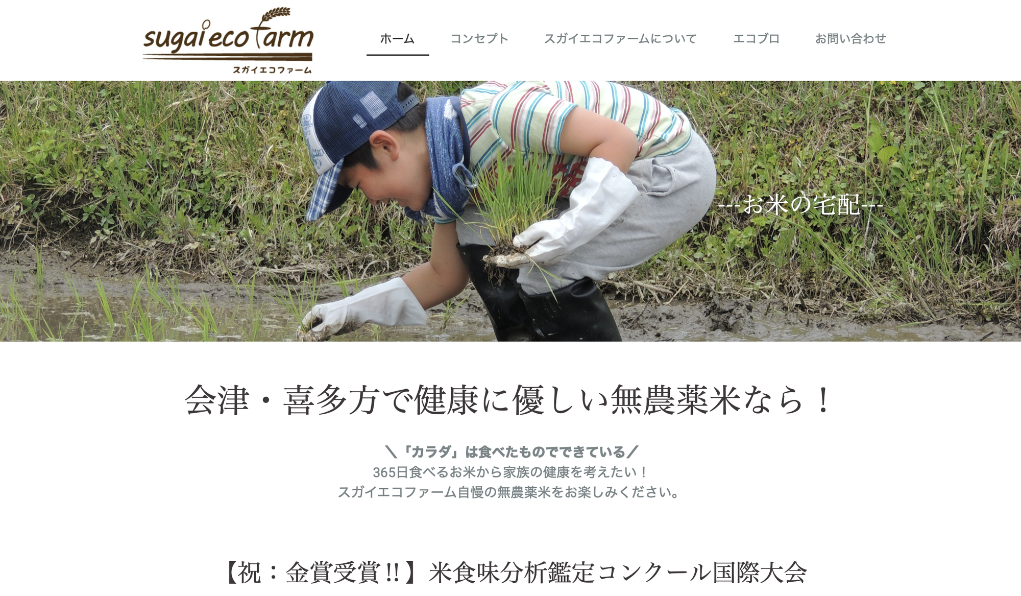 ホームページ完成