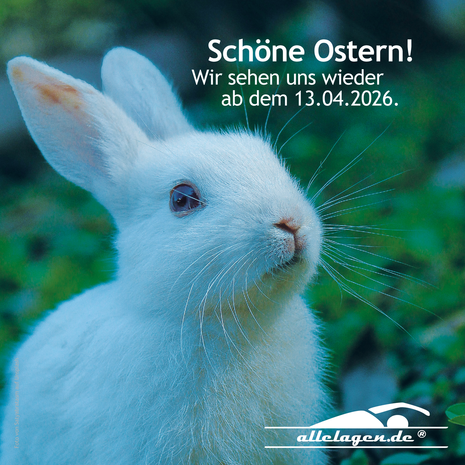 Schöne Ostern!