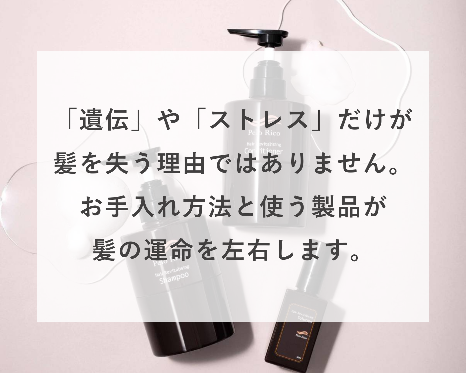 健やかな頭皮を支えるために