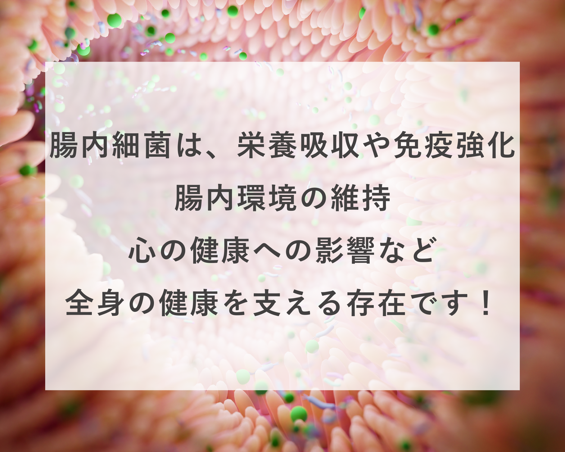 腸内環境が全て！
