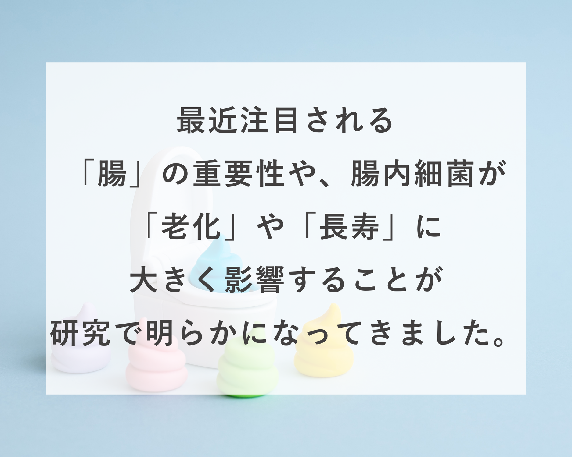 腸活をはじめましょう！