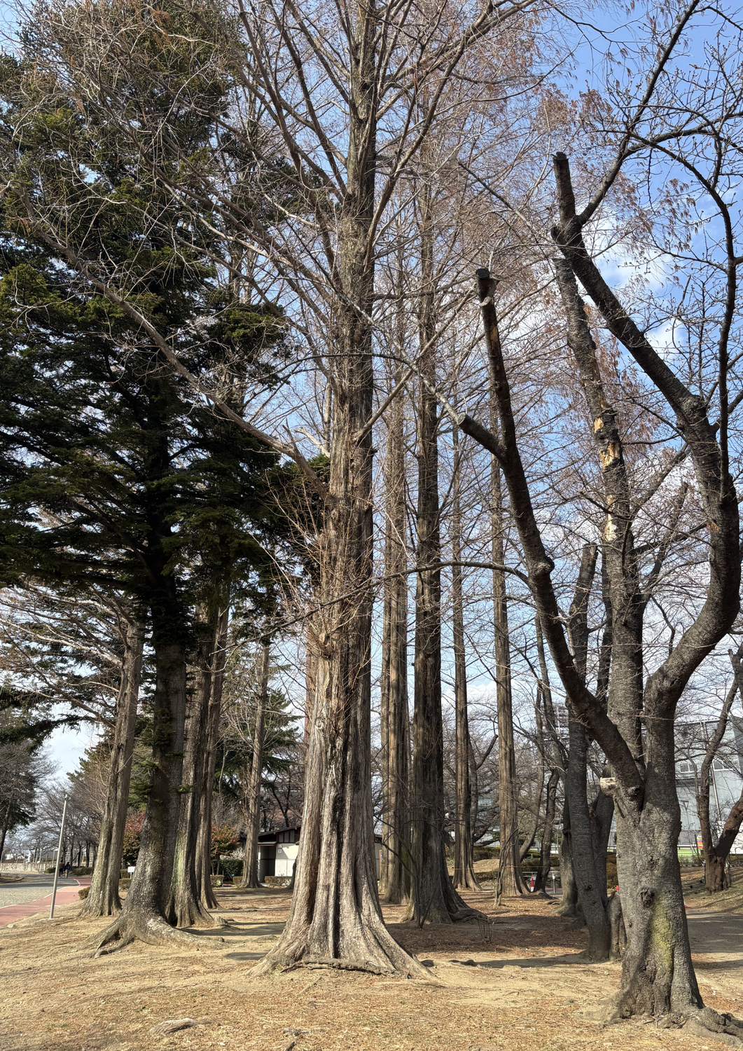 開成山公園で癒やしの時間……のはずが「職業病」！？