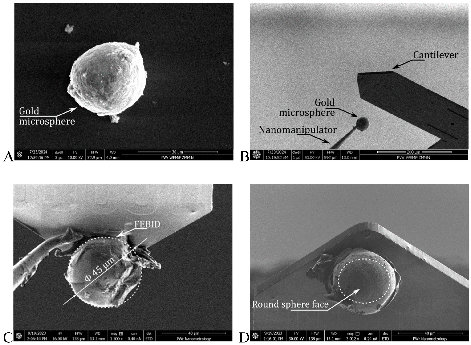 Winzige Messarme, große Wirkung: Wie Nanotechnologie Zahnersatz revolutioniert