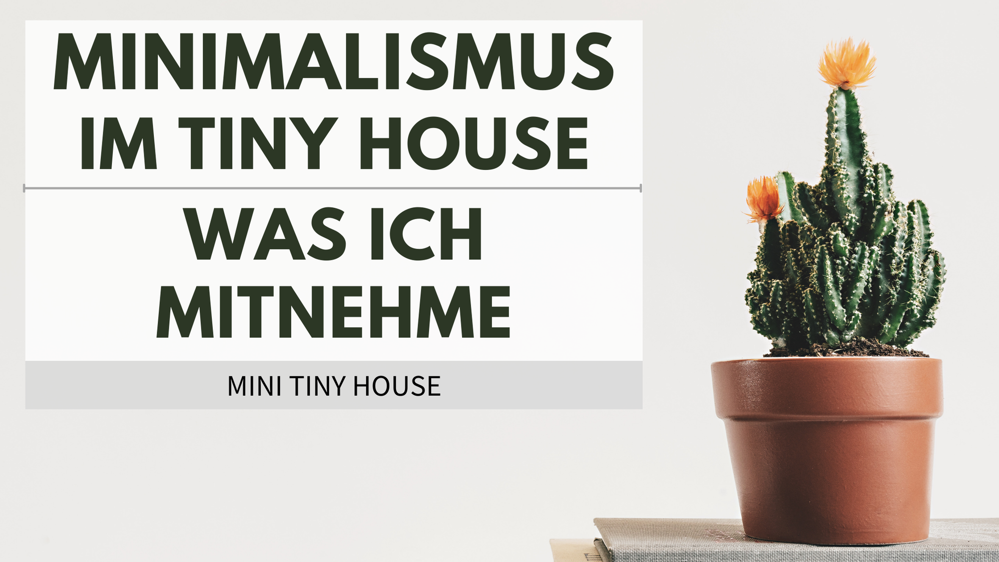 Minimalismus im Tiny House – Was ich wirklich mitnehme
