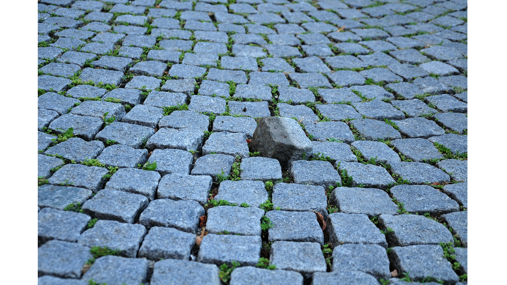 Stolpersteine
