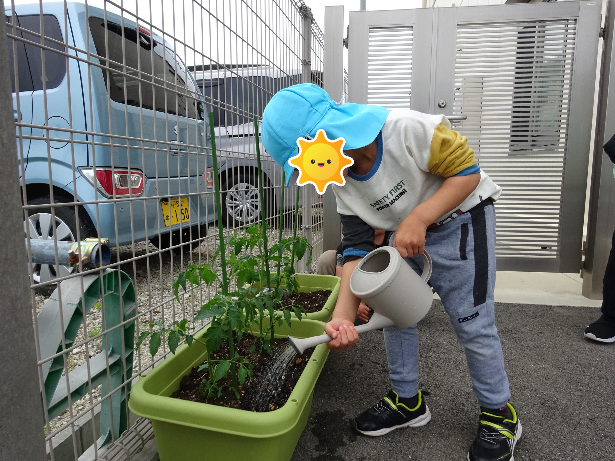5月　野菜の苗植え