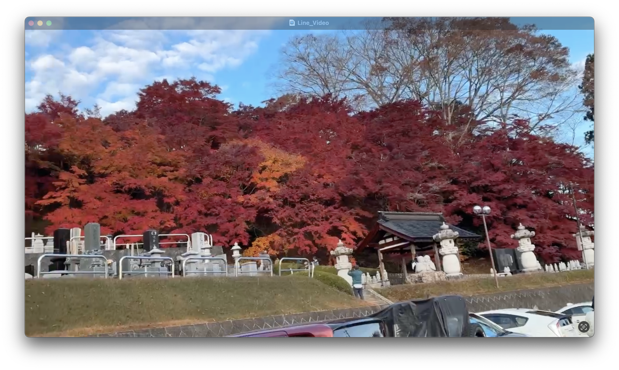 脳がリフレッシュ！紅葉寺