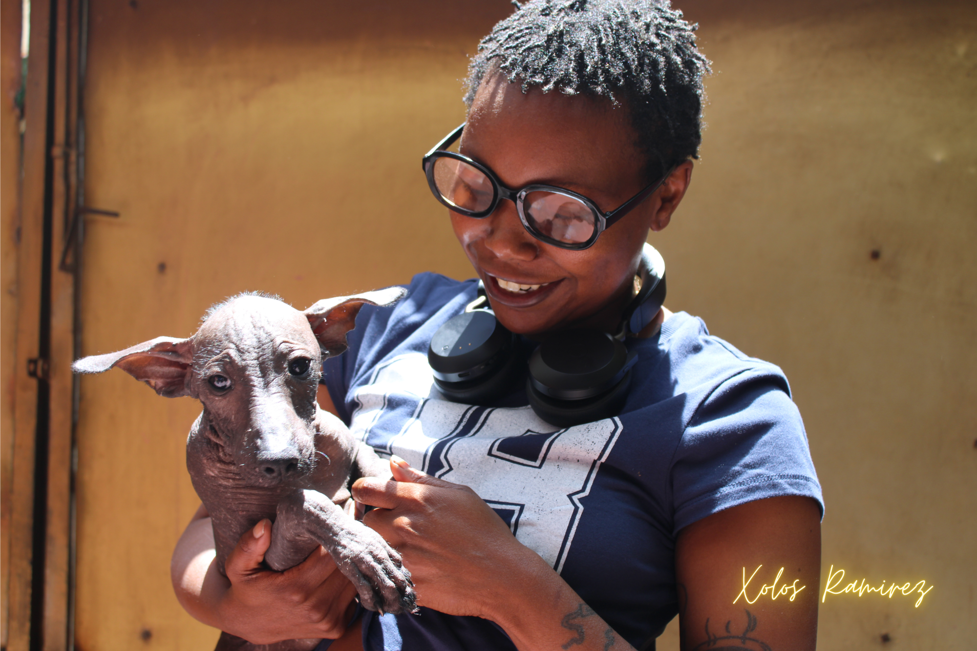 Delivery of Tempranillo Django: A New Chapter Begins for JJ and Her Xoloitzcuintli