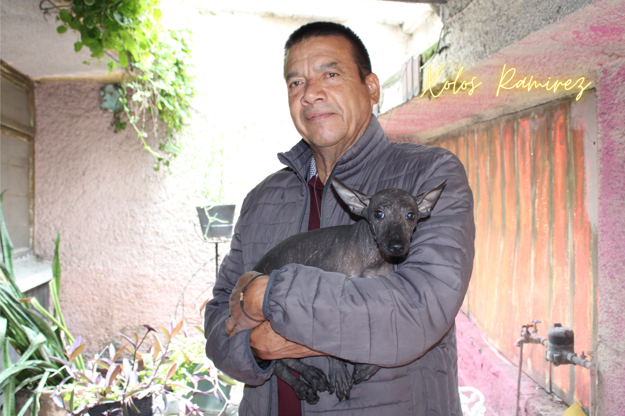 Tepin, la primera de muchas: Vick y su compromiso con la terapia asistida con xoloitzcuintles