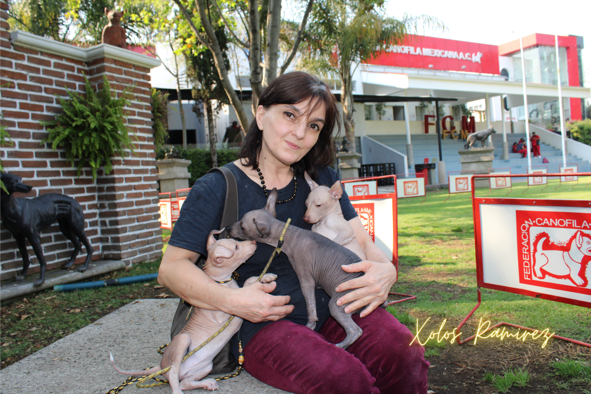 Marcela y Alexandra Registran a Chili, Canela y Xaly como Perros Pura Sangre en la Federación Canófila Mexicana