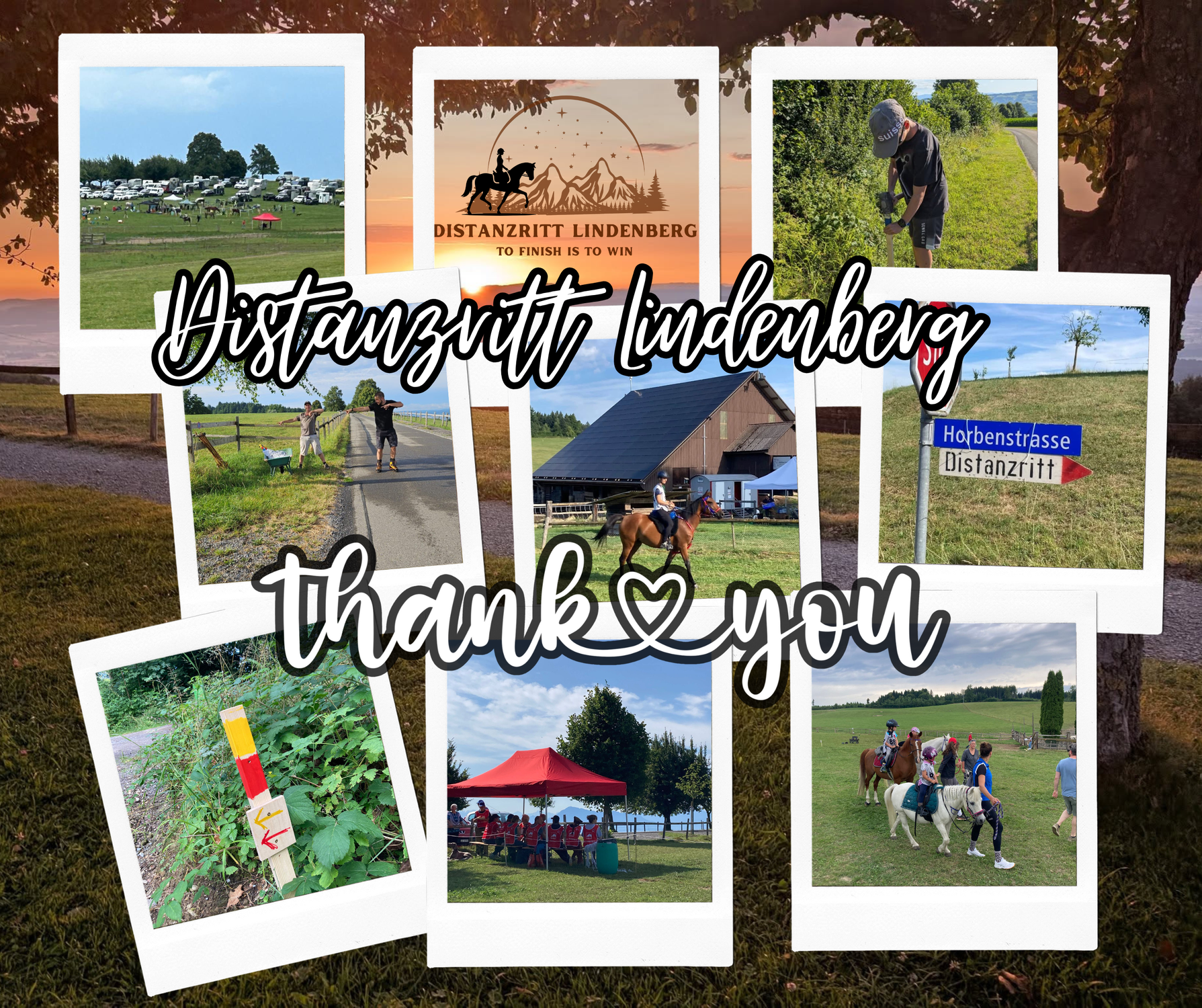 Resultate Distanzritt Lindenberg