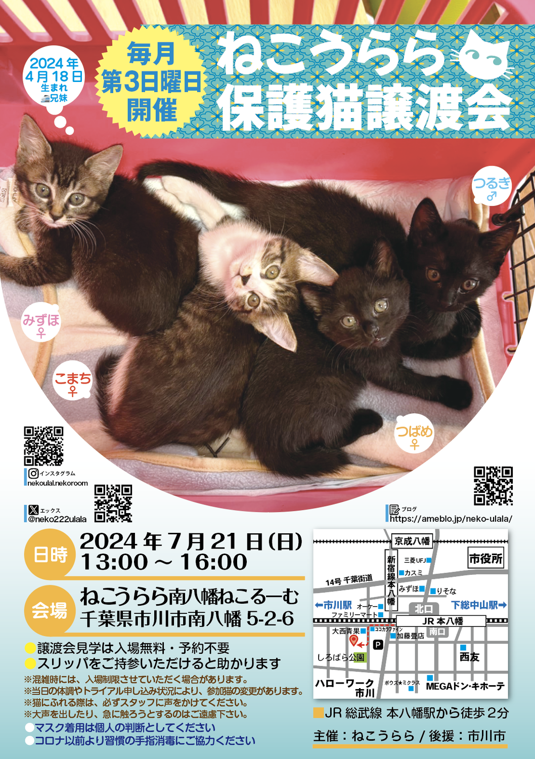 ねこうらら　　保護猫譲渡会　（2024年7月21日　第３日曜日）