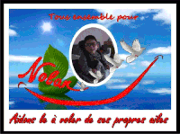 Aidons Nolan à voler de ses propres ailes !