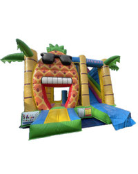 Hüpfburg Hawaii mieten in Hannover und Umgebung für Kindergeburtstage und Gartenpartys