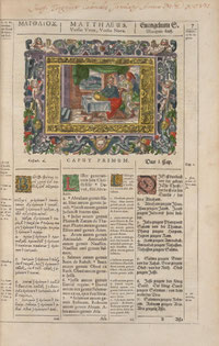 1596 Hamburg Polyglot Bible online NT