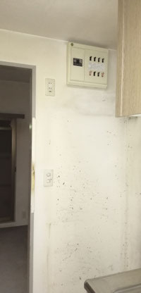 リフォーム,リノベーション,施工例,施工事例,キャステージパーク