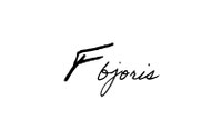 fabienne b joris visual artist