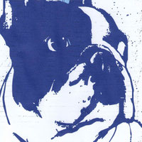 Site de adoptunboulihautsdefrance !