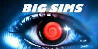 Big Sims