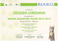 MASTER ALLEVATORE FELINO