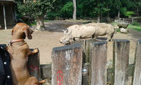 Florentyna ist im Tierpark unterwegs 