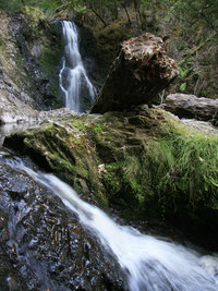 Wasserfall von Strahan