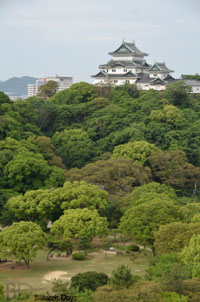 昨日わざわざ城に行きましたが、ホテルの部屋から見た和歌山城が一番サマになってた件