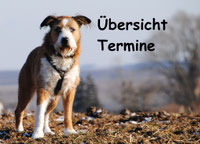 Hier informieren! 