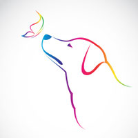 Hundesalon Feinschnitt Bad Camberg Erbach