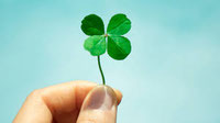 Página web de st-patrikdayrecipes