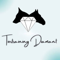 Offizielles Logo des eingetragenen Unternehmens Tiertraining Diamant, einer mobilen Hundeschule mit holistic approach