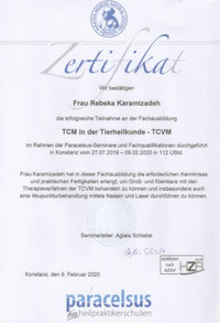 Akupunkturbehandlung