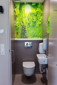 Vakantiehuisje in Drenthe - toilet