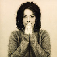 Björk - Debut