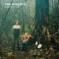 The Ocelots - Started To Wonder