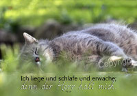 christliche Karten, Psalm 3,6, Ich liege und schlafe und erwachem denn der Herr hält mich