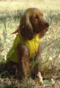 Timber von den Kranichwiesen (verstorben)