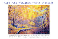 2014個展ふる川DM