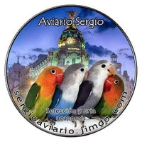 Página web de sergioaviario