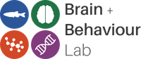 brainandbehaviourlab