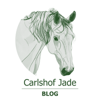 Carlshof Jade bloggt - Ein Blog zur "Küstenautobahn" A 20