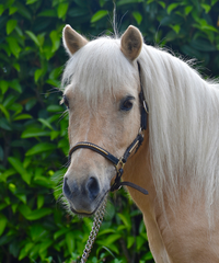 Sa mère, Célénia de Liubov
