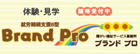 brandpro20259gmailcom ページ！