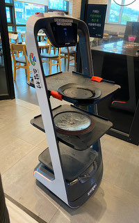 Delivery robot