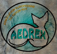 Logo AEDREX