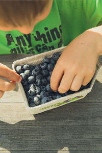 Vortrag: Kinder mit Spaß gesund ernähren Inhalt - Titelbild